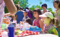 フォトギャラリー フォトギャラリー